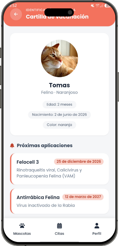 App móvil