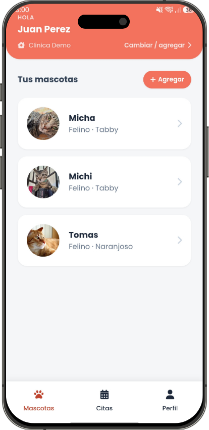 App móvil