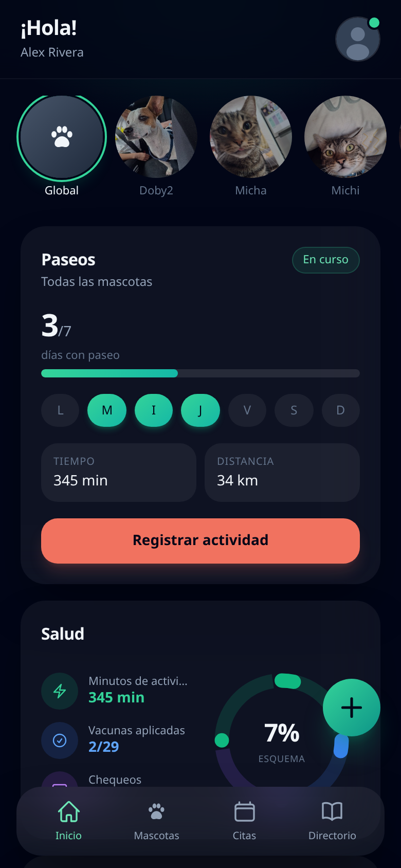 Inicio con resumen de paseos y salud